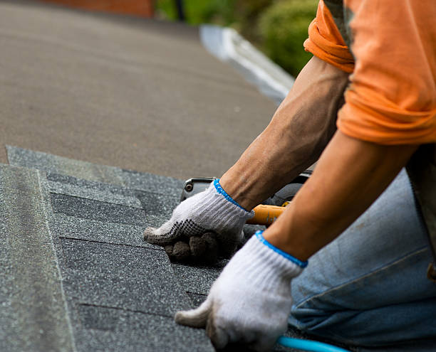 Best Emergency Roof Repair Services  in Ann Arbor, MI